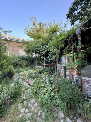 Фото 4 Дом в Паркентском районе