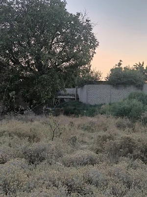 Фото 4 Участок в Дурмень