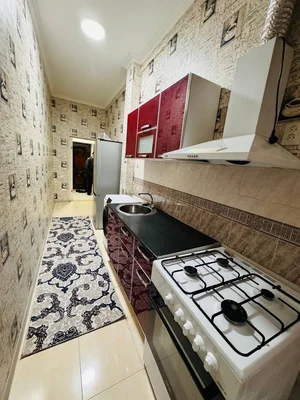 Фото 2 1-комн. квартира в Академгородок