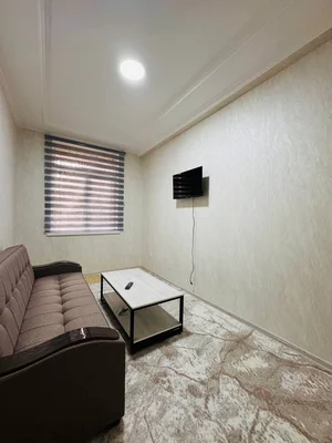 Фото 5 1-комн. квартира в Академгородок