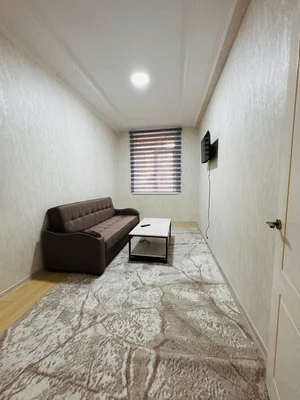 Фото 1 1-комн. квартира в Академгородке