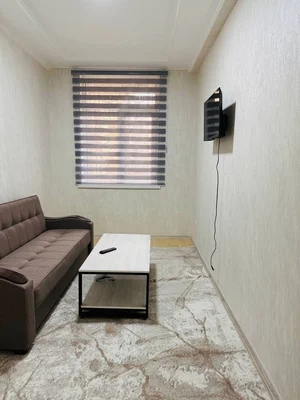 Фото 2 1-комн. квартира в Академгородке