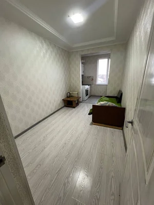 Фото 4 1-комн. квартира в Академгородке