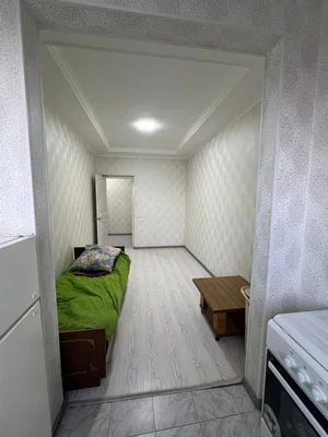 Фото 6 1-комн. квартира в Академгородке