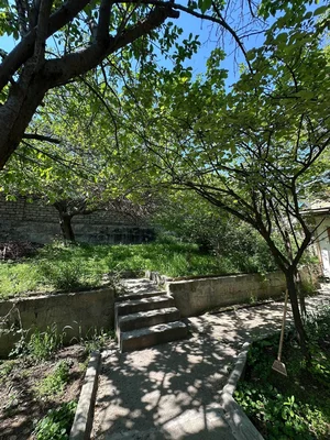 Фото 5 Дом в Буюк ипак йули