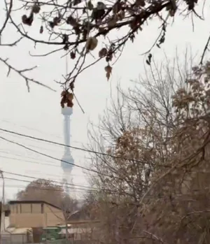 Фото 2 Участок в Юнусабадском районе