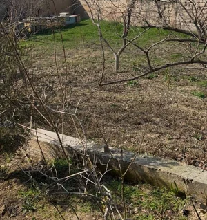 Фото 5 Участок в Юнусабадском районе