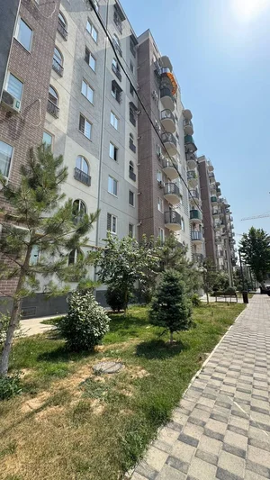 Фото 1 1-комн. квартира в Ассалом сохил