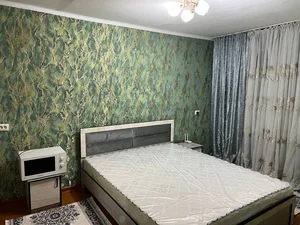 Фото 3 1-комн. квартира в Академгородке