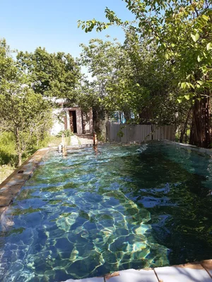 Фото 1 Дача в Ташморе