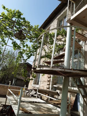 Фото 3 Дача в Ташморе