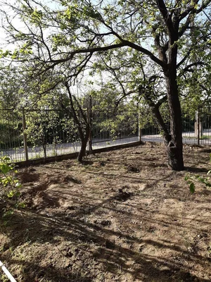 Фото 4 Дача в Ташморе