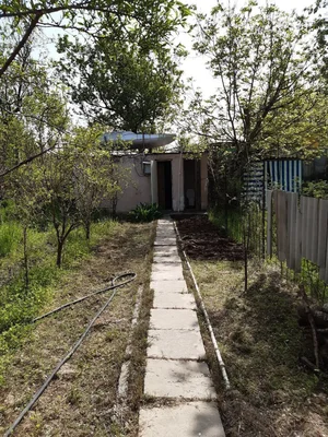 Фото 8 Дача в Ташморе