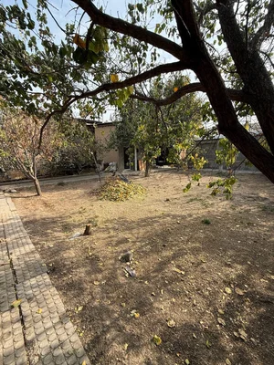 Фото 6 Участок в МФИ кашкарлик