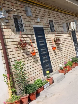 Фото 1 2-комн. квартира в районе международного аэропорта