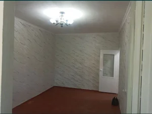 Фото 3 1-комн. квартира в Оазис, Корзинка