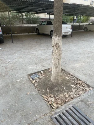 Фото 4 1-комн. квартира в Юнусободском районе