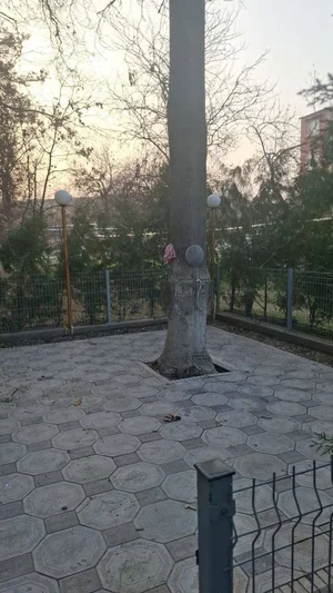 Фото 9 3-комн. квартира в Базар Кадышева