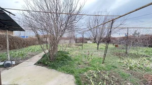 Фото 2 Участок в Мирзо-Улугбекском районе