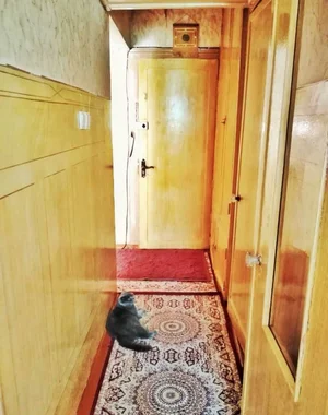 Фото 7 2-комн. квартира в Чиланзар 24 квартал