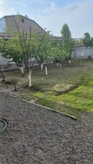 Фото 3 Участок в Бектемирский районе