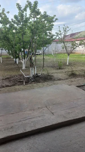 Фото 4 Участок в Бектемирский районе