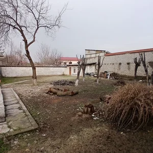 Фото 2 Участок в Хасанбай новая махалля