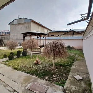 Фото 7 Участок в Хасанбай новая махалля