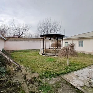 Фото 8 Участок в Хасанбай новая махалля