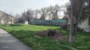 Фото 2 Участок в Янги Узбекистан