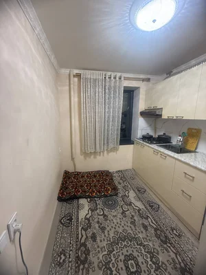 Фото 3 1-комн. квартира в Парус