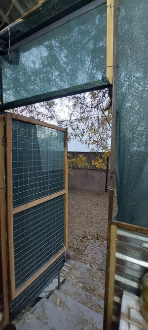 Фото 7 1-комн. квартира в бывшем общежитии