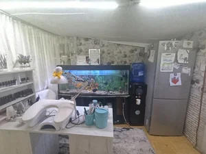 Фото 3 Участок в Старые Сергели