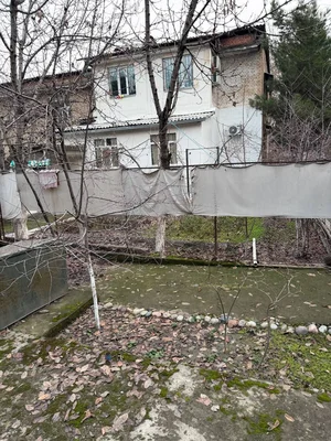 Фото 8 2-комн. квартира в Спутник 4