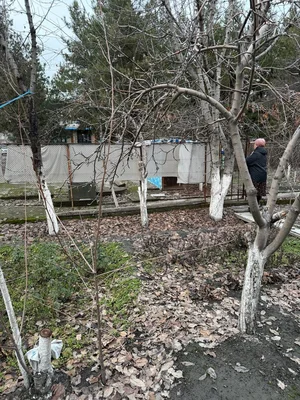 Фото 9 2-комн. квартира в Спутник 4