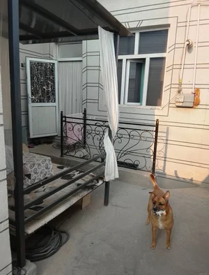 Фото 4 2-комн. Дом в Шумиловском городке