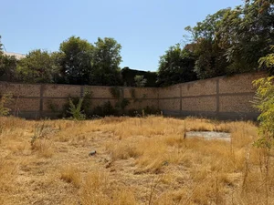 Фото 4 Участок в Мирзо Улугбекском районе