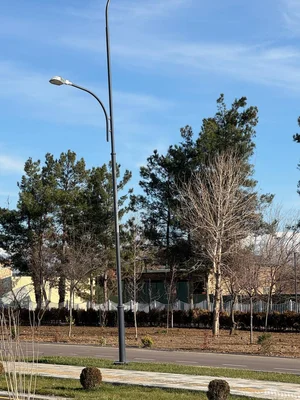 Фото 1 Участок в Мирзо-Улугбекском районе