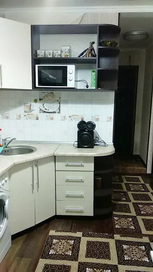 Фото 2 1-комн. квартира в Аллея Гагарина