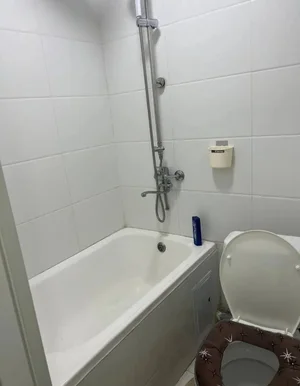 Фото 5 1-комн. квартира в Парус