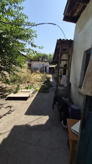 Фото 2 Участок в Яшнабадском районе