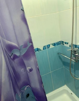 Фото 6 1-комн. квартира в Мирзо Улугбек