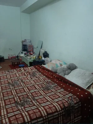 Фото 1 Квартира в Не указано