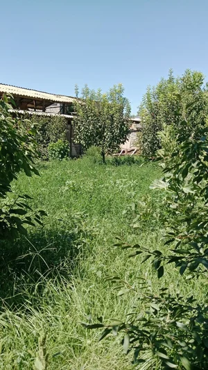 Фото 2 Участок в Кибрай