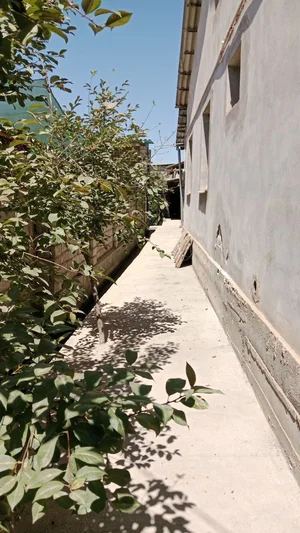 Фото 5 Участок в Кибрай