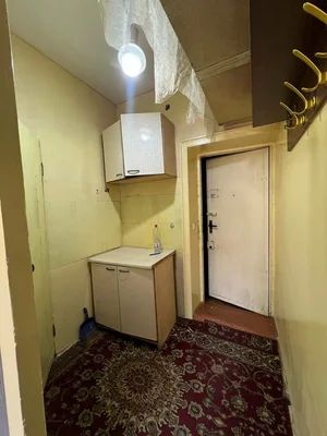 Фото 2 1-комн. квартира в Спутник-4