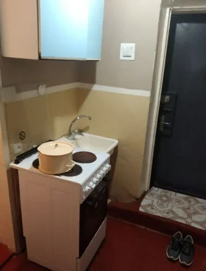 Фото 1 1-комн. квартира в Спутник-4