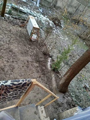 Фото 10 1-комн. квартира в Сергели 2