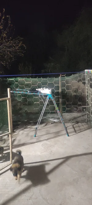 Фото 8 Дом в Янгиюле