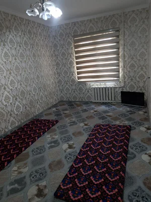 Фото 1 1-комн. квартира в Спутник-15